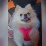 Ersteller:in Leonie Profilbild