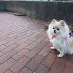 Ersteller:in Leonie Profilbild