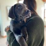 Ersteller:in Andrea Profilbild