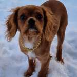 Ersteller:in Michael Profilbild