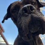 Ersteller:in Michelle Profilbild