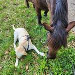 Ersteller:in Jennifer Profilbild