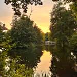 Hundeauslaufgebiet-Gut Bustedt-Bild