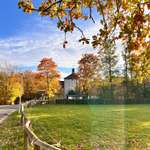 Hundeauslaufgebiet-Gut Bustedt-Bild