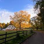 Hundeauslaufgebiet-Gut Bustedt-Bild