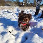 Ersteller:in Vanessa Profilbild