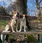 Ersteller:in Sonja Profilbild