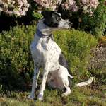 Ersteller:in Victoria Profilbild