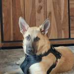 Ersteller:in Karsten Profilbild