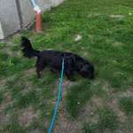 Ersteller:in Laura Profilbild