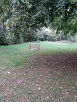 Hundeauslaufgebiet-Vielohweg-Bild