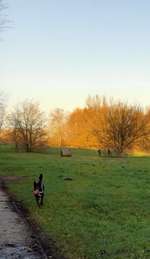 Hundeauslaufgebiet-Burgunderweg-Bild