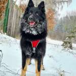 Beheizbarer Napf-Beitrag-Bild