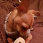 Ersteller:in Y Profilbild