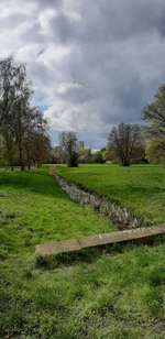 Hundeauslaufgebiet-Klötzebecken-Bild