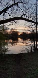 Hundeauslaufgebiet-Klötzebecken-Bild