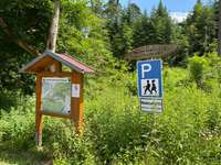 Hundeauslaufgebiet-Vöhringer Wald-Bild