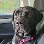 Ersteller:in Susanne Profilbild