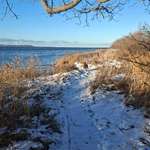 Hundeauslaufgebiet-Hundestrand Altefähr-Bild