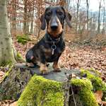 Ersteller:in Jana Profilbild