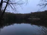 Hundeauslaufgebiet-Trimm Dich Wald-Bild