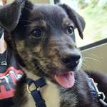 Ersteller:in Michele Profilbild