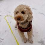 Ersteller:in Giulia Profilbild