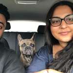 Ersteller:in Peeti Profilbild