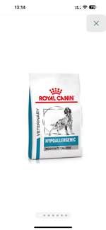 Hund verweigert Nahrung-Beitrag-Bild