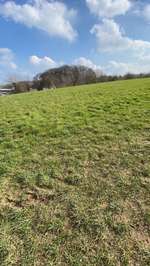 Hundeauslaufgebiet-Wiese Nähe der Abtsküche-Bild