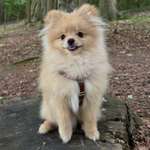 Ersteller:in Jolina Profilbild