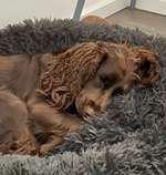 Foto Challenge Nr. 134-Beitrag-Bild