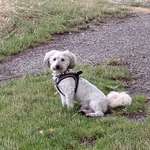 Ersteller:in Sindy Profilbild