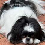 Ersteller:in Barbara Profilbild