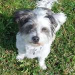 Ersteller:in Corinna Profilbild