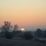 Ersteller:in Justine Profilbild