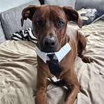 Ersteller:in Claudia Profilbild