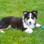 Ersteller:in Heike Profilbild