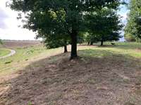 Hundeauslaufgebiet-Hingewiesen-Bild