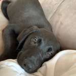 Ersteller:in Karen Profilbild