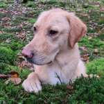 Ersteller:in Claudia Profilbild