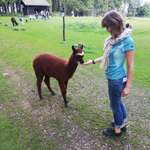 Ersteller:in Johanna Profilbild