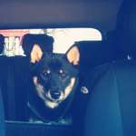 Ersteller:in Jana Profilbild