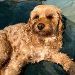 Ersteller:in Katrin Profilbild