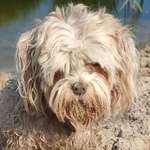 Ersteller:in Christine Profilbild