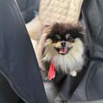 Ersteller:in Liza & Niklas Profilbild