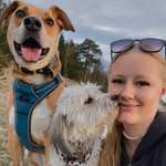 Ersteller:in Sara Profilbild