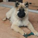 Ersteller:in Shila Profilbild