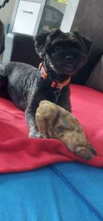 Suchmeldung-Happy-Bild