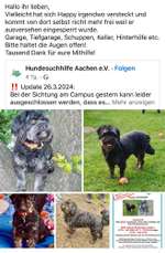 Suchmeldung-Happy-Bild